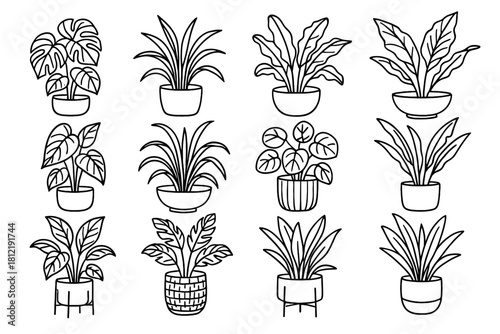 Icons icon drawing bohemian vector leaves decor planters botanical tropical set pencil