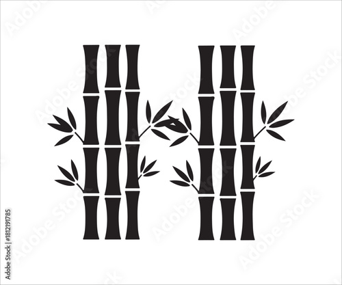 bamboo vector illustration