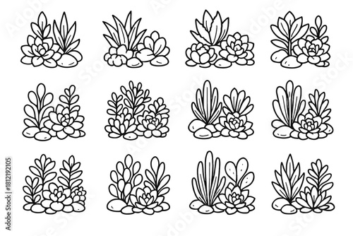 Succulent stones rough succulents ink small vector decorative group doodle icon grid