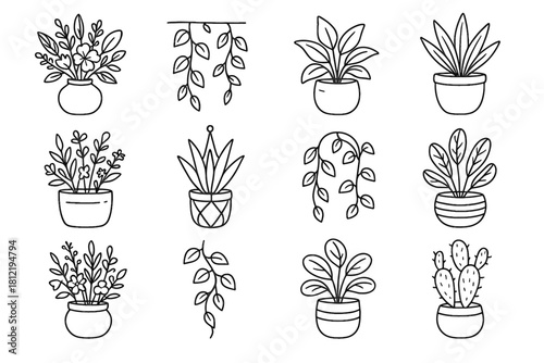 Plant drawn line arrangement botanical planter vector hanging ceramic hand doodle vine