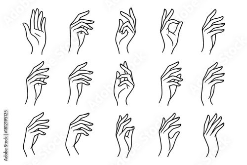 Hands hand lines drawing delicate flowing handdrawn icons pose sketch vector shapes