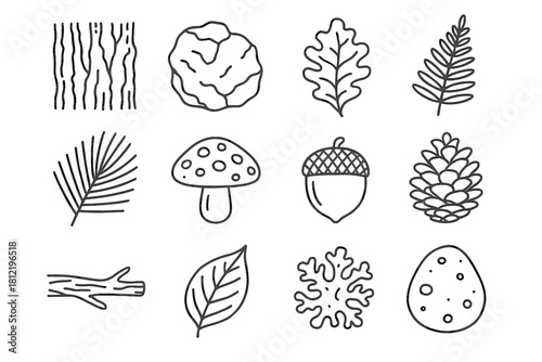 Icon forest pine pebble icons lichen leaf vector cap dried shell texture