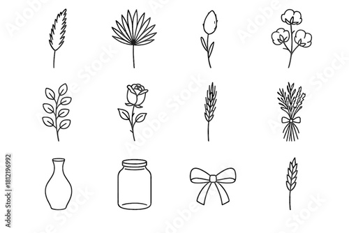 Eucalyptus icon outline palm grass flower leaf dried tied tail vector pampas