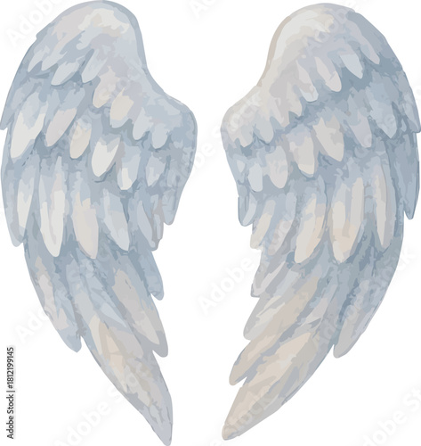Watercolor vector illustration of an angel wings