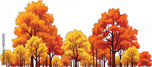Autumn forest scene with colorful deciduous trees, seasonal vector illustration for nature, education, design, and decoration themes