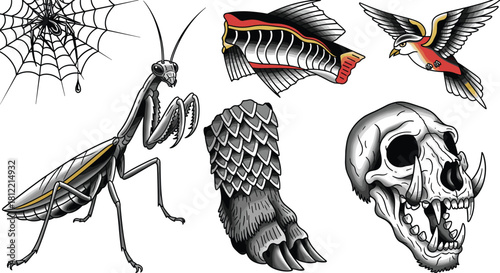 Spider web, praying mantis, fish tail, bird, bear paw, primate skull, anatomy, insect, animal, bold, illustration, tattoo, design, nature, wildlife, detailed, creative, symbolic, educational, concept