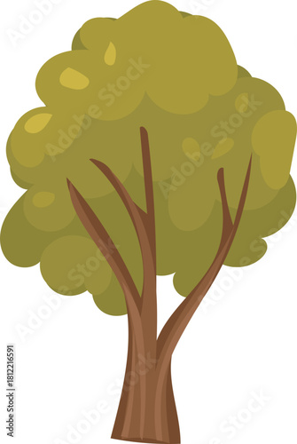 Green bushy forest tree