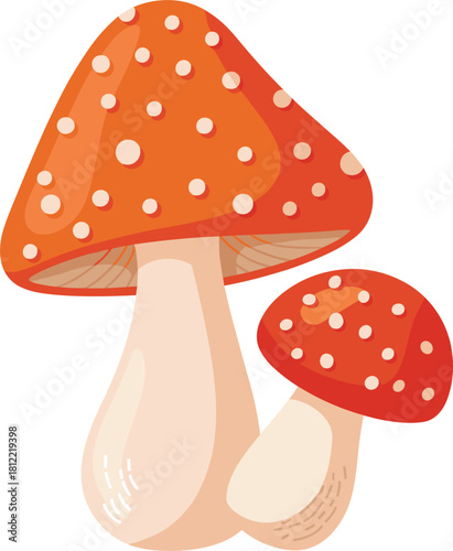 Pair of Red and White Spotted Fly Agaric Mushrooms amanita muscaria toadstool