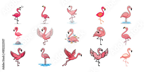 Collection of various pink flamingo illustrations isolated on