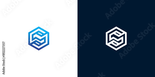 Abstract Hexagon Shape S Letter Logo Design in Blue and White