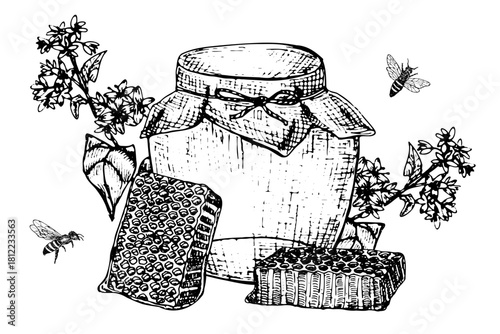 Buckwheat honey vintage sketch illustration. Honey jar with honeycomb, bee, buckwheat branches and flowers isolated. Hand drawn vector illustration in linear style. Engraving honey set.