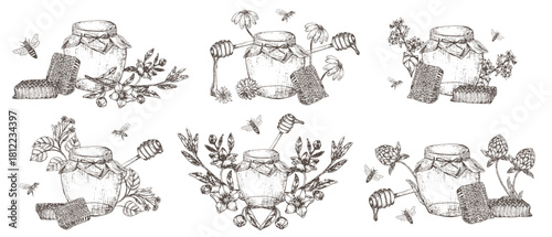 Honey hand drawn illustrations set. Manuka flowers honey, linden, buckwheat, clover and field designs collection. Hand drawn monofloral honey illustrations for logo, labels and flyers.
