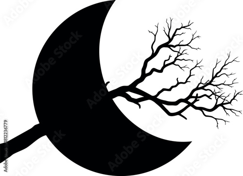 Silhouette tree branch against crescent moon