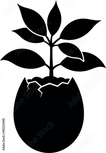 New life sprout grows from cracked eggshell