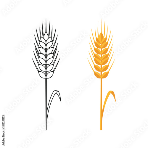 Wheat ear cereal grain flat design and outline vector set icon