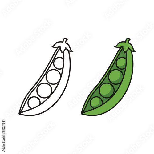 Green pea pod vector illustration and outline drawing for education