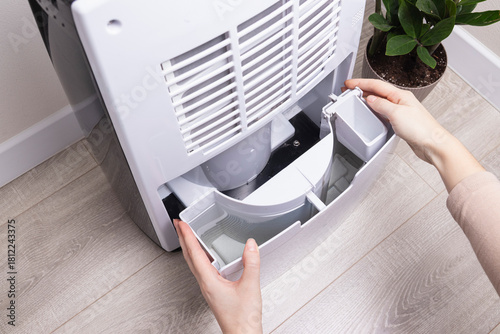 Woman removing full water tank from dehumidifier. Concept of humidity reduction, mold prevention, air drying. 