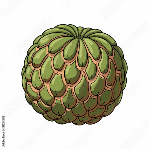 Custard apple isolated against plain backdrop shows tropical freshness. Custard apple also known as sweetsop, appears detailed with its segmented skin and vibrant color.