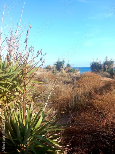 Herbst in Südfrankreich am Meer