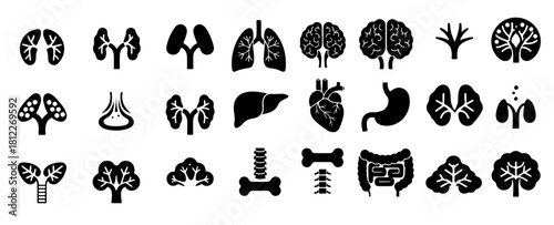 Explore detailed human organs for medical education and healthcare designs easily today