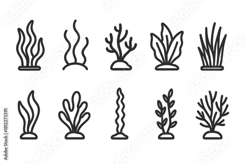 Detailed set of simple line icons depicting various types of seaweed, algae, and aquatic flora found in the ocean environment