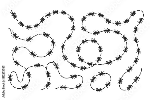 Black insect trails following winding dashed paths on white background
