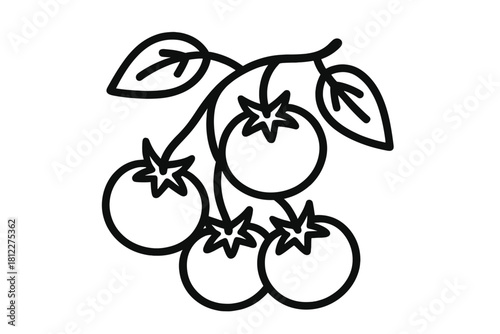 Minimalist black and white outline drawing of four ripe garden tomatoes on the vine