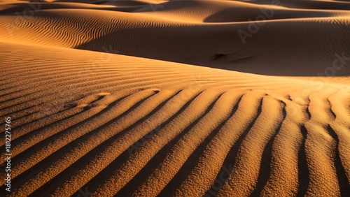 Fototapeta Naklejka Na Ścianę i Meble -  Golden Sand Dunes - A Textured Landscape of the Desert.