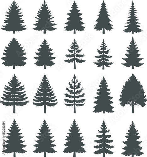 A collection of twenty distinct silhouette icons representing various types of evergreen coniferous trees, such as pine, spruce, and fir