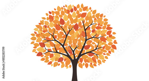 Stylized illustration of a beautiful round autumn tree with dense orange and yellow foliage isolated on a white background.