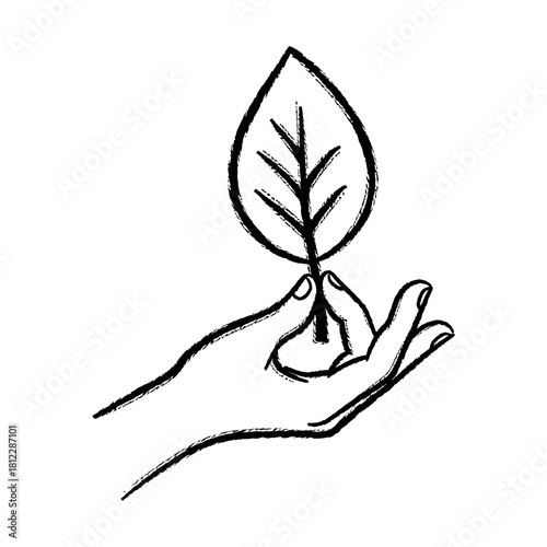 Grunge Style Black Outline Drawing of Hand Holding Nature Leaf