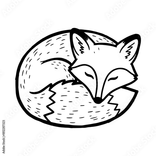 Minimalist Hand-drawn Sleeping Fox Outline Illustration Vector