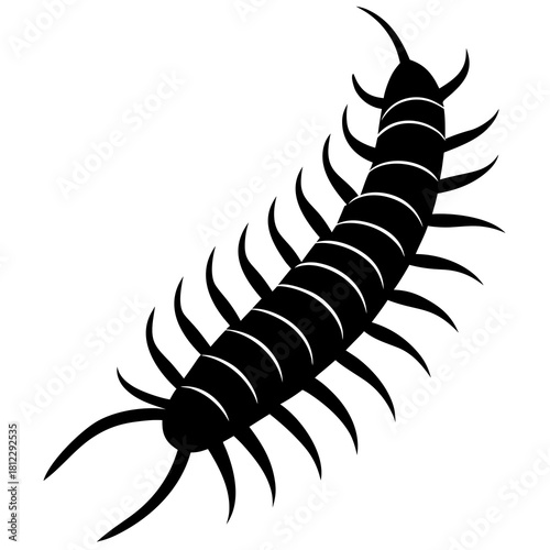 Black 3d Centipede Silhouette on White insect arthropod
