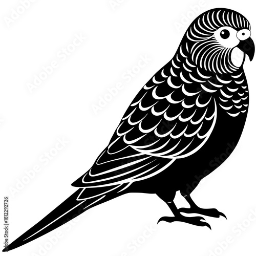 Black and white budgerigar silhouette with feather details