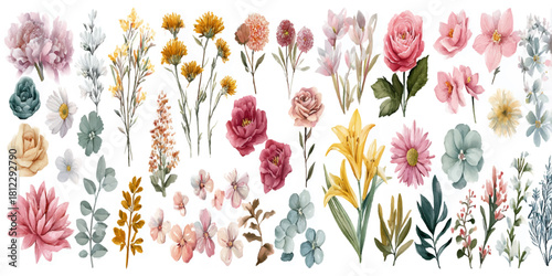 Vibrant watercolor collection of delicate wildflowers and botanical elements on a white background