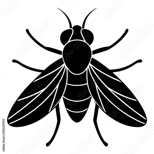 Black fly silhouette with white outline details insect