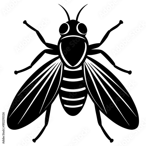 Black fly silhouette with striped abdomen and detailed wings