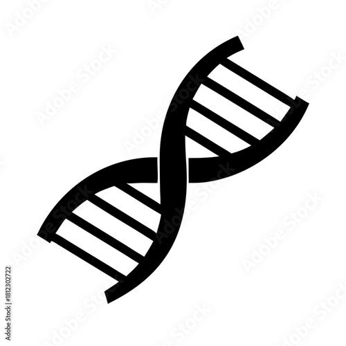 Exploring the Intricacies of DNA Structure and Its Biological Importance exploring the intricacies of