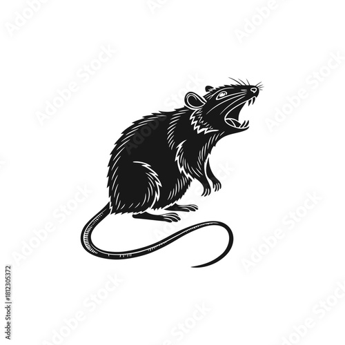 Fierce Black Rat Illustration