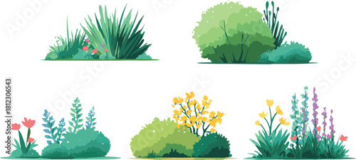 Set of various bushes and flowers isolated on