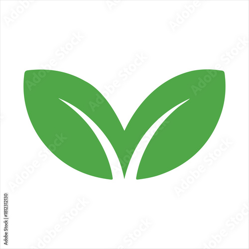 Two green leaves vector illustration for organic natural and eco friendly concepts
