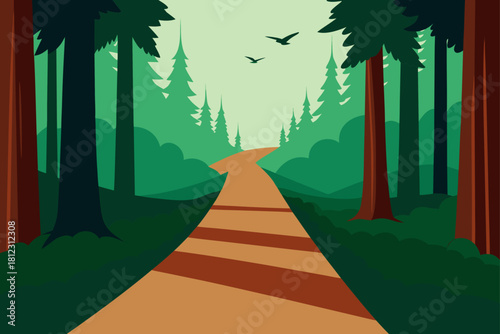 Peaceful Ancient Redwood Forest Walking Path