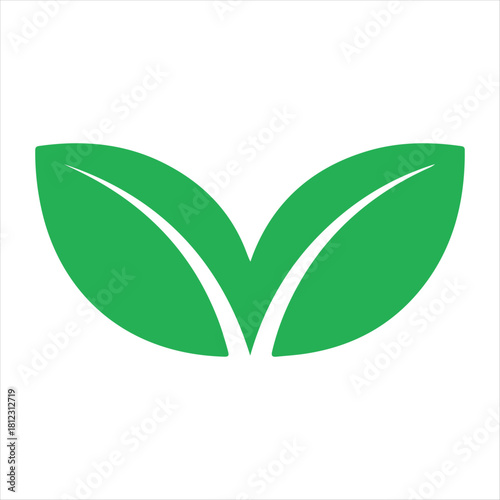 Simple green leaf icon symbolizing nature ecology and environmental awareness