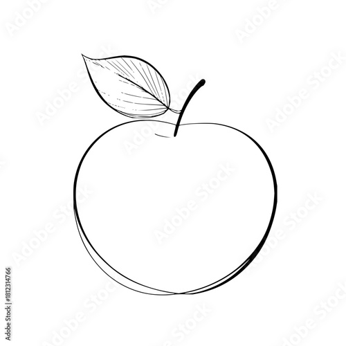Hand drawn apple with leaf isolated on, fruit illustration