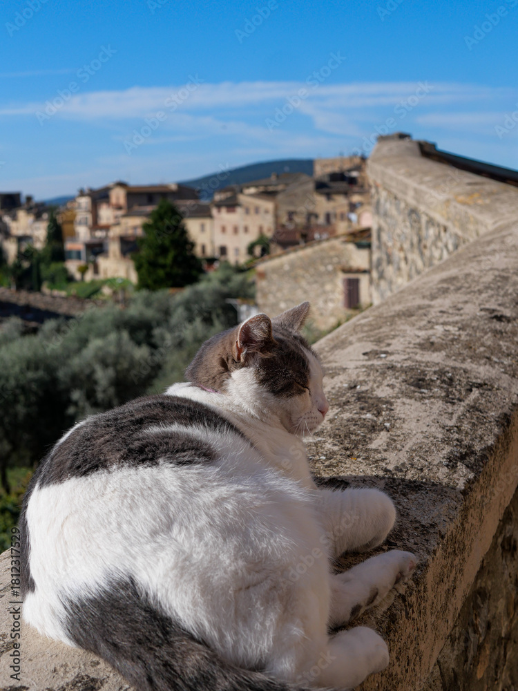 Naklejka premium Italie - San Gimignano - Toscane