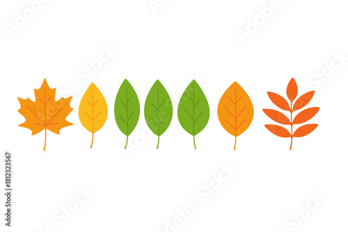 Row of different tree leaves showing seasonal color change from green to orange