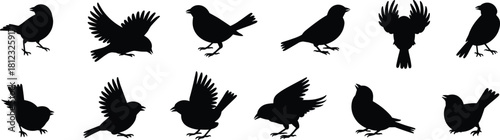 PrintA vector set of twelve detailed sparrow bird silhouettes in various poses including standing, flapping wings, and looking up, perfect for nature and wildlife designs.