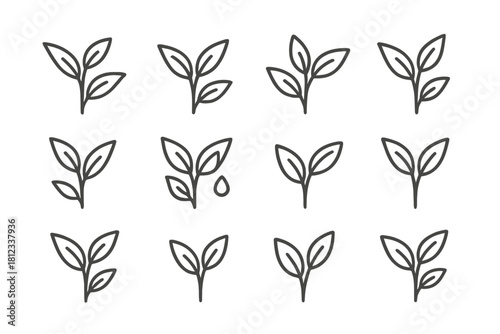 Minimalist line symbols showing young plant sprouts, seedlings, and fresh tea leaves