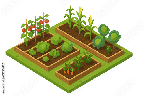 Isometric view of a thriving vegetable garden with raised beds full of fresh organic produce like tomatoes, corn, and cabbage