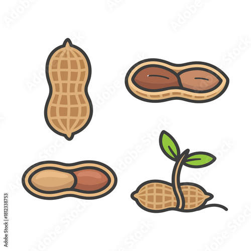 A collection of peanuts in various forms, isolated on, showcasing the nut, its halves, and a sprouting plant, representing growth